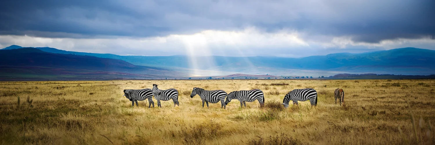 hendrik-cornelissen-qs4E9t0hJc0-unsplash 1.webp